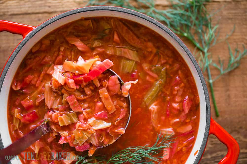 borscht with vegetables in pot