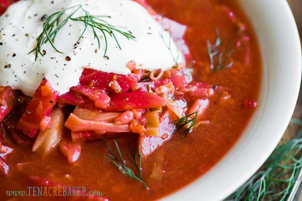borscht with sour cream and vegetables
