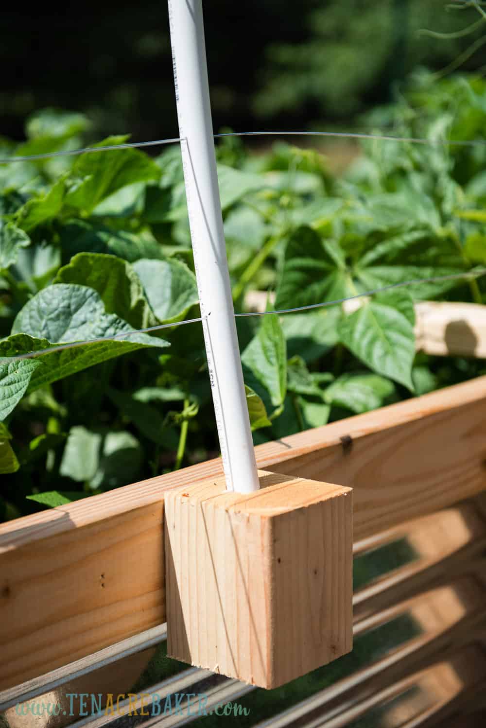 4 inch block holding PVC for Vegetable Garden Trellis