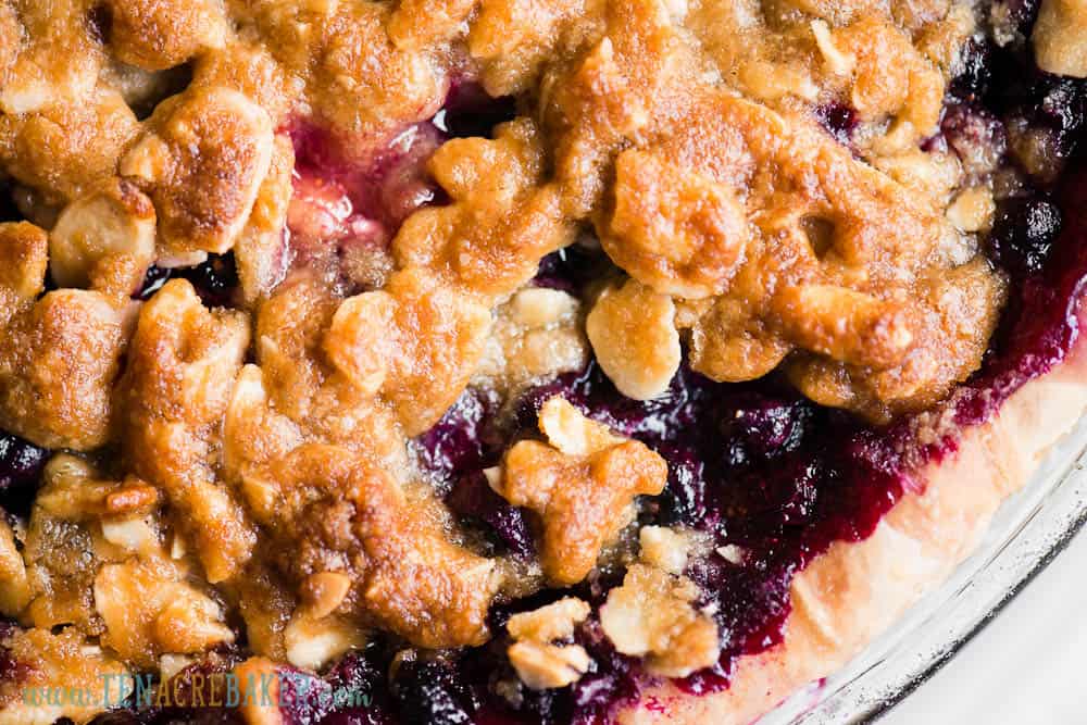 top of blueberry crumb pie