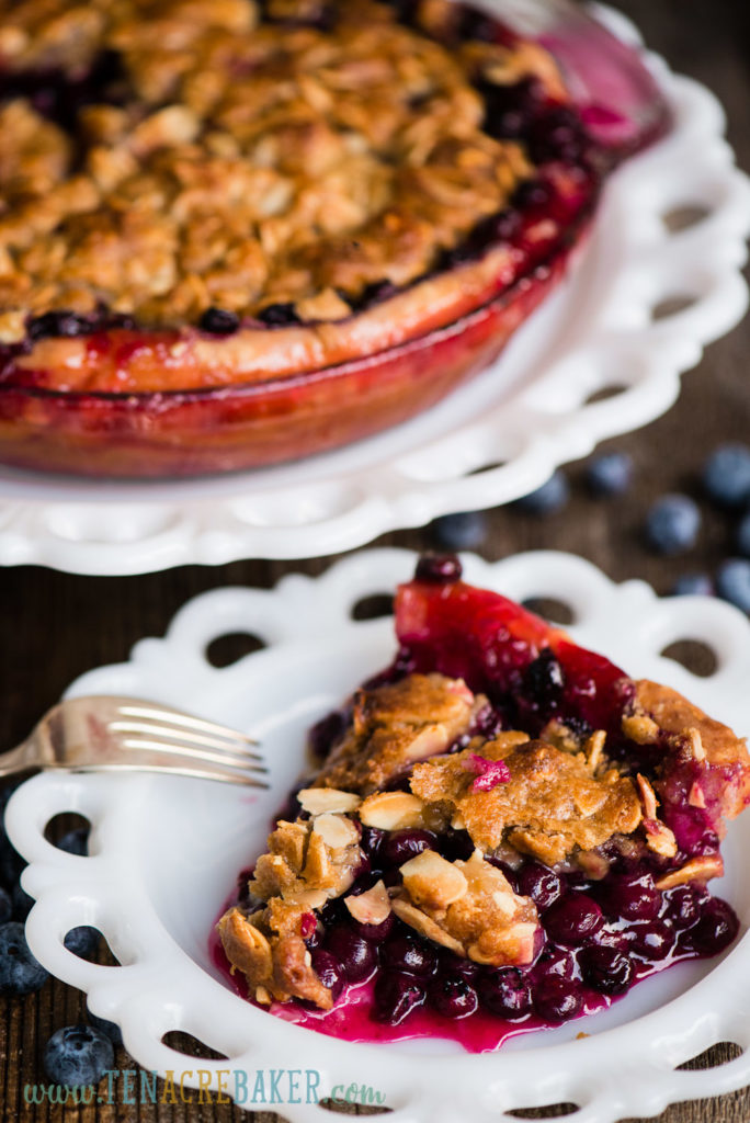 The BEST Blueberry Crumb Pie Recipe | Ten Acre Baker