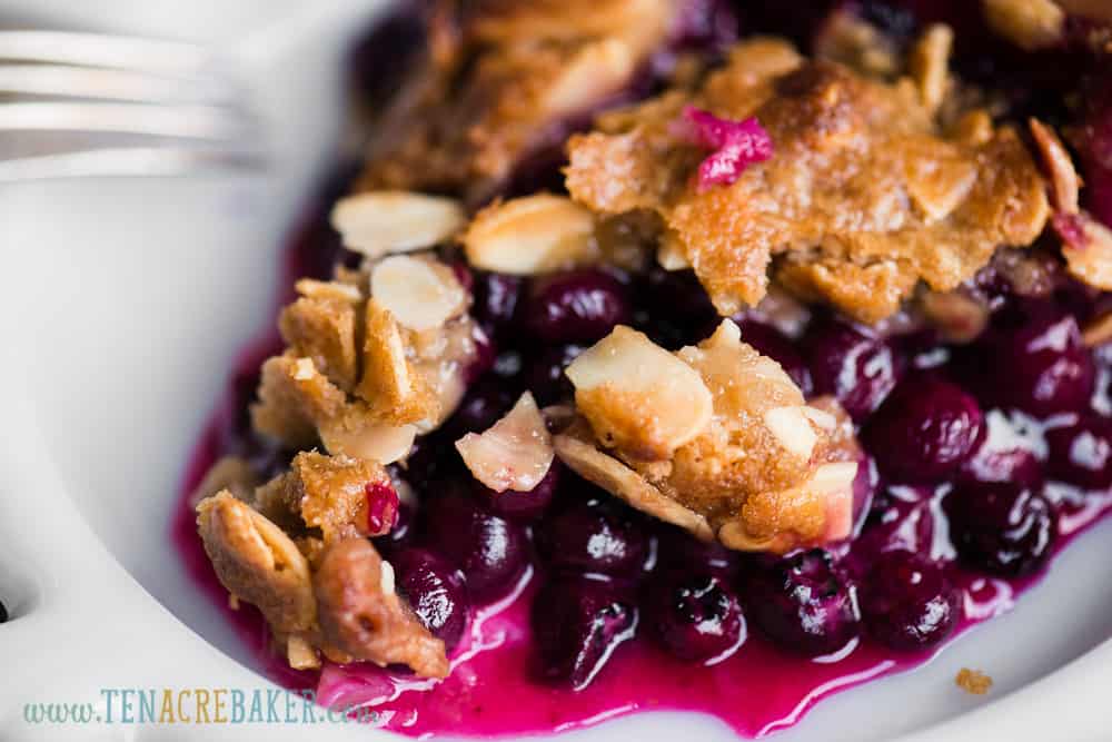 purple juicy blueberries with crumble topping