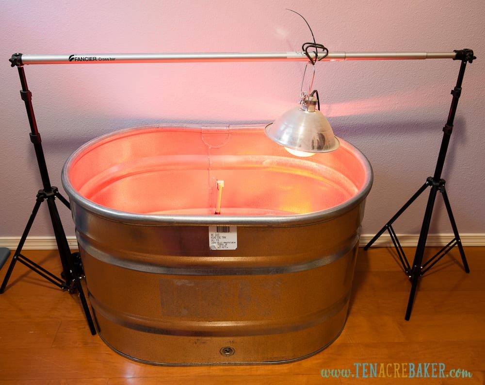 Essential Supplies Needed to Raise Baby Chicks Ten Acre Baker