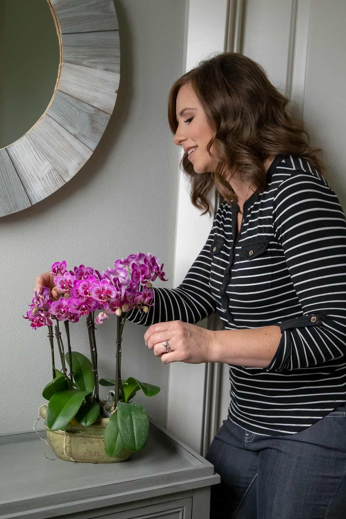 how to prune an orchid plant