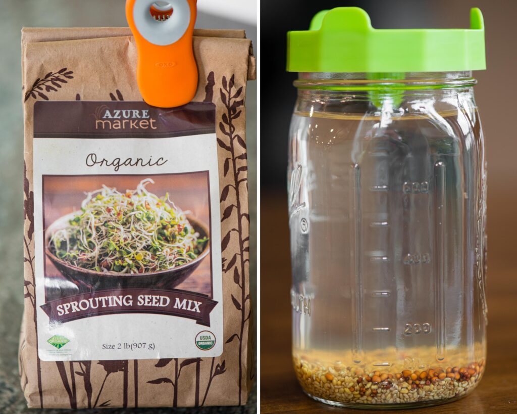 organic sprout seed mix and sprouting mason jar