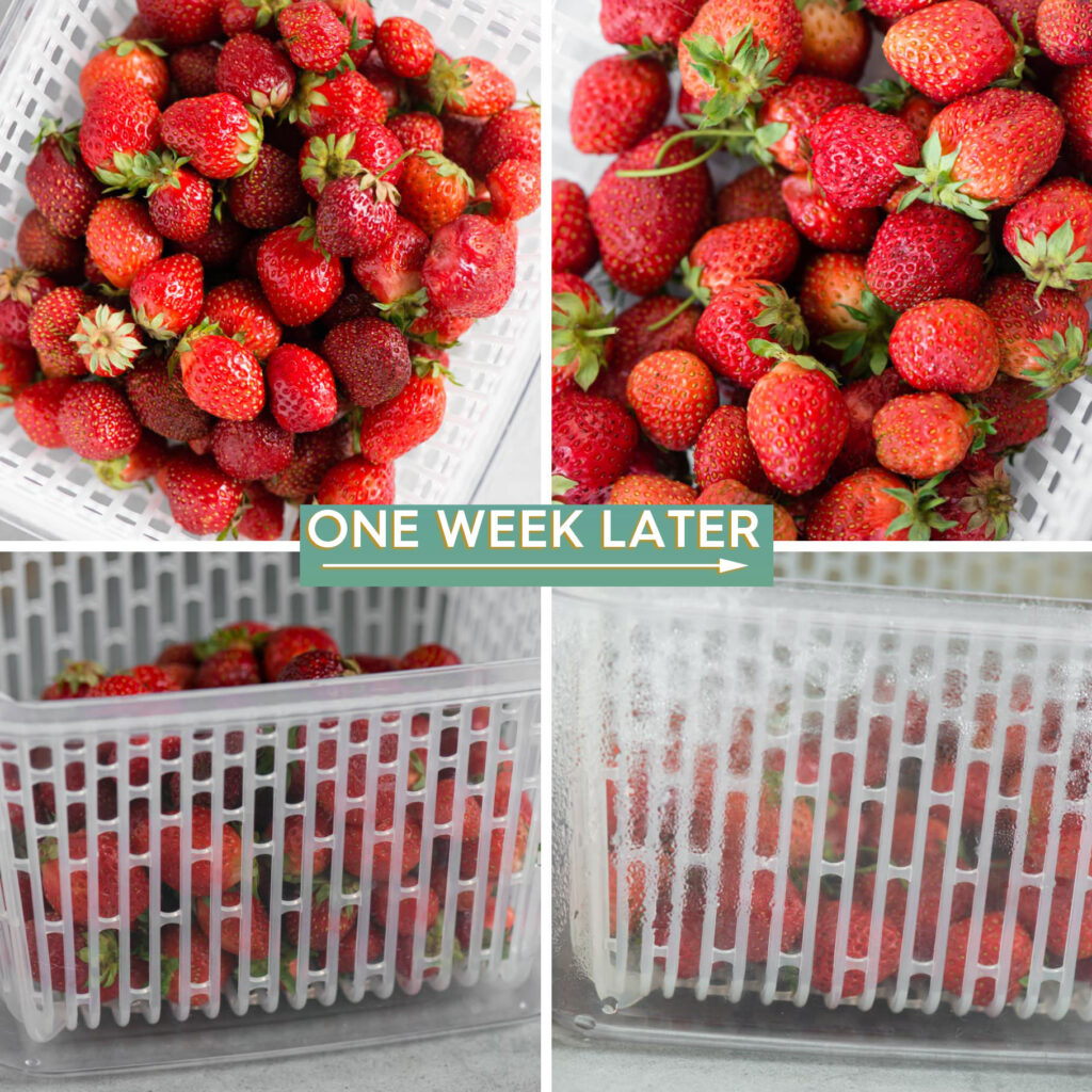 How to Store Strawberries So They Won't Spoil Quickly