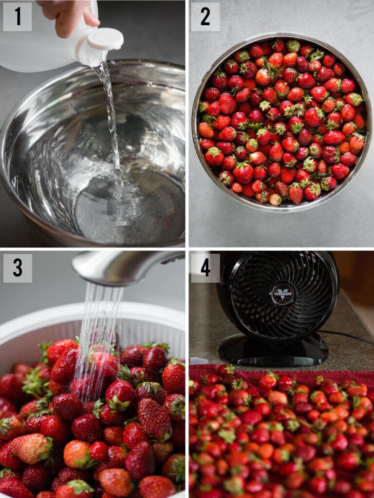 Strawberries How to Wash, Store, and Freeze Ten Acre Baker