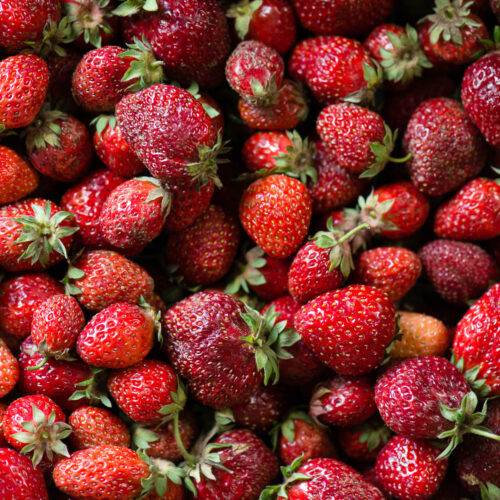Hood strawberries from Oregon