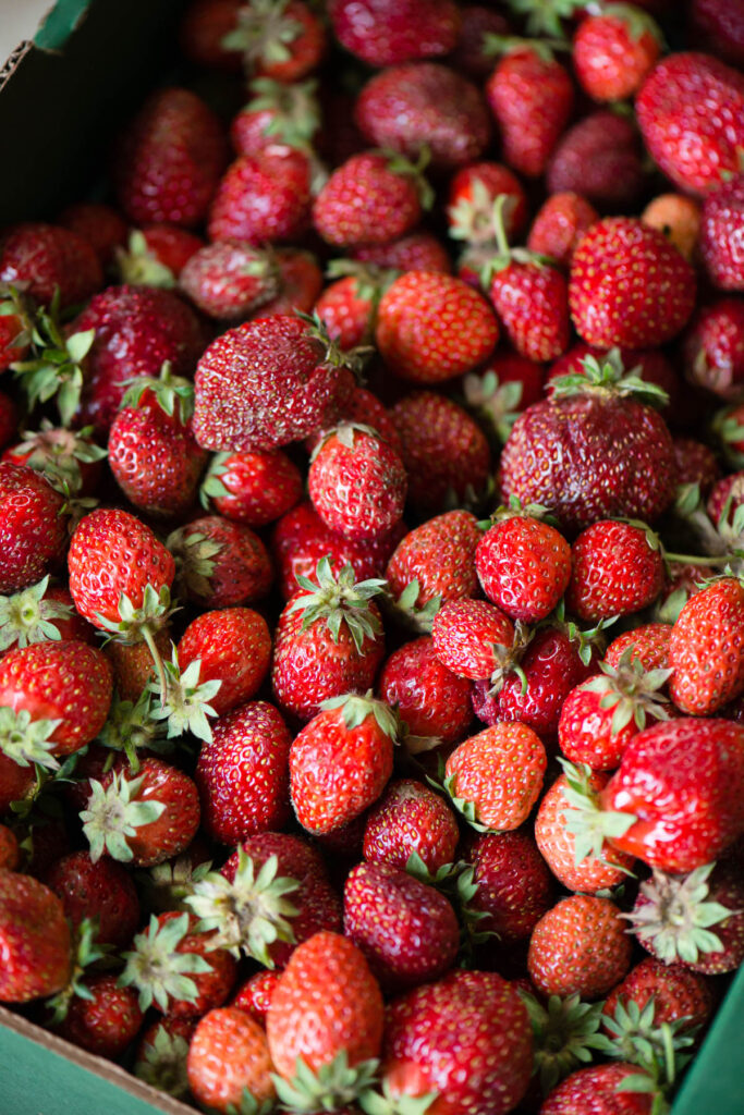 dark red strawberries