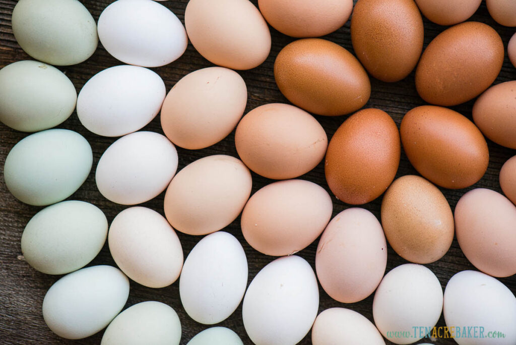 colorful eggs on table