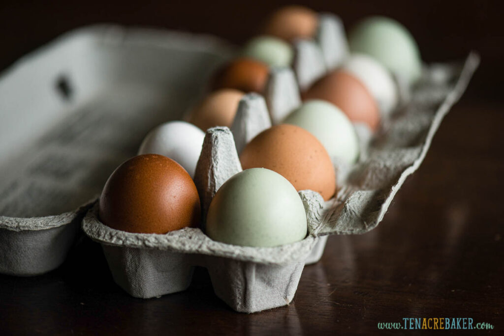 different colored eggs in carton