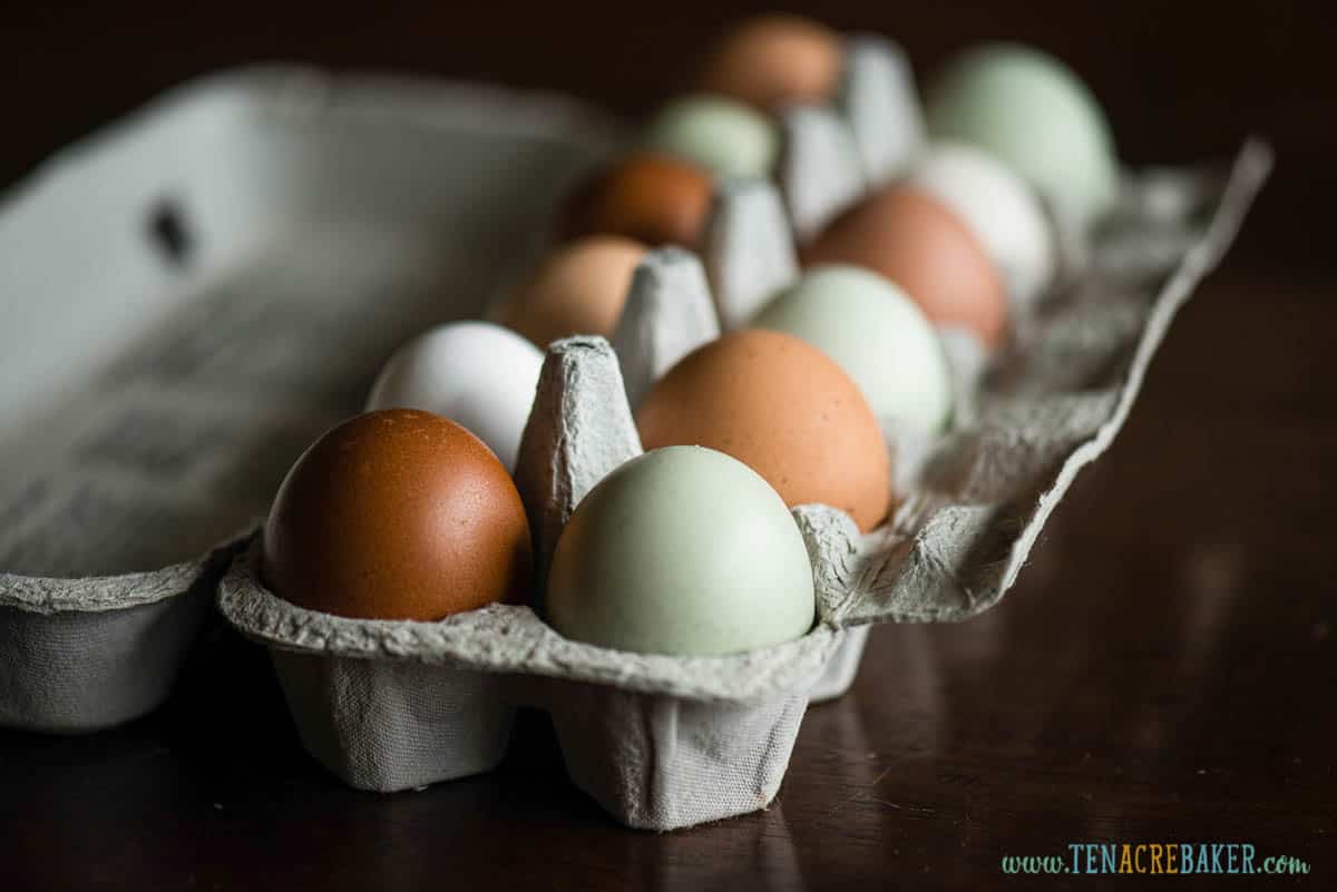 How Long Do Eggs Last Your Guide to Keeping Eggs Fresh