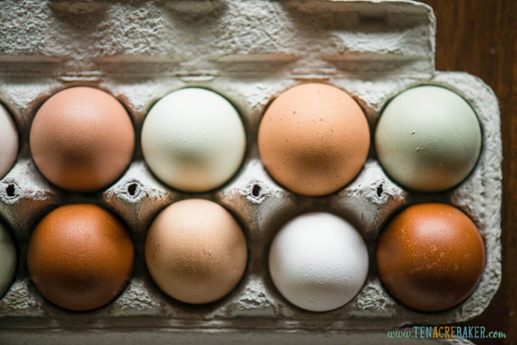 eggs in carton