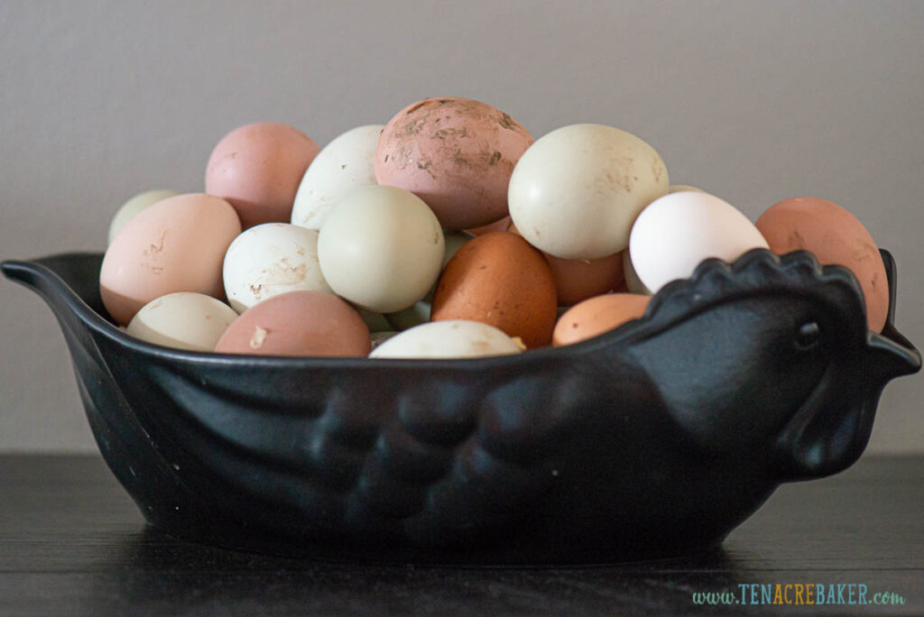 unwashed farm fresh eggs in bowl