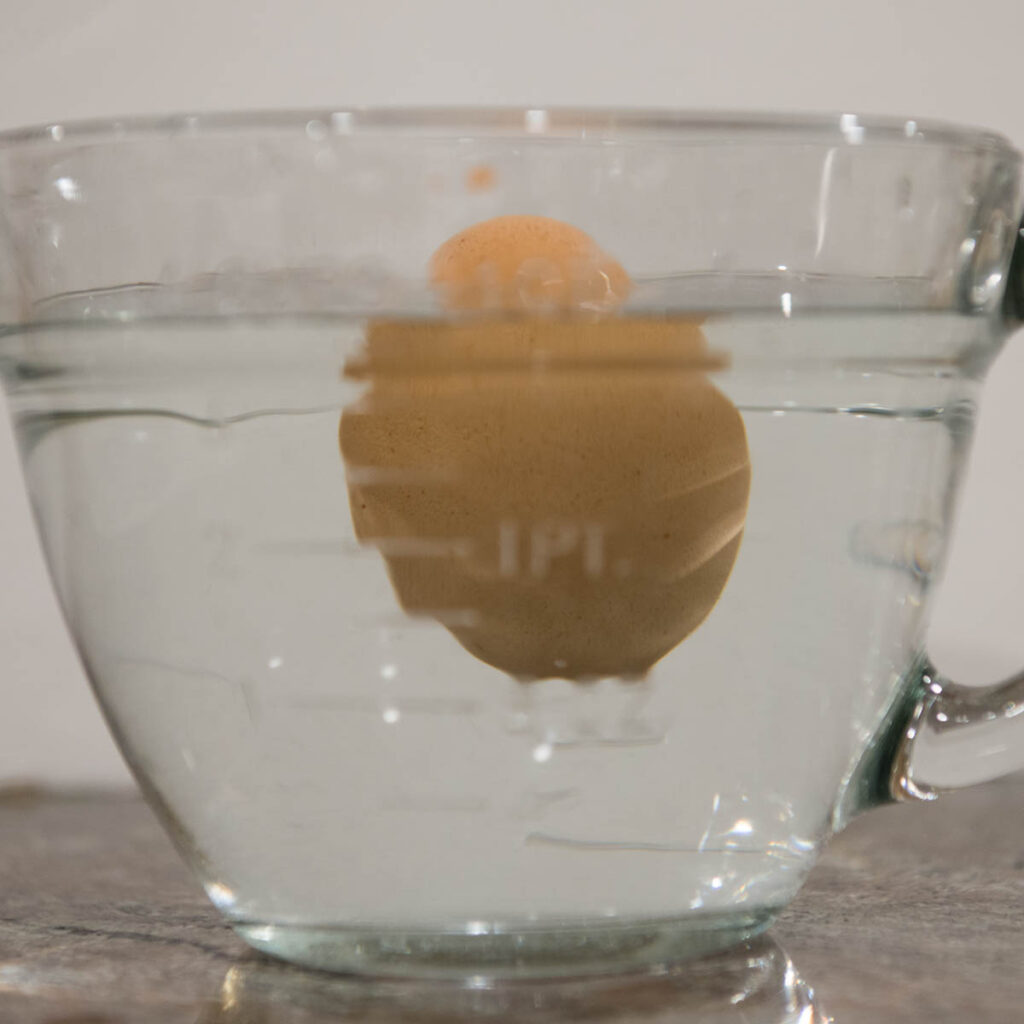 egg floating in water