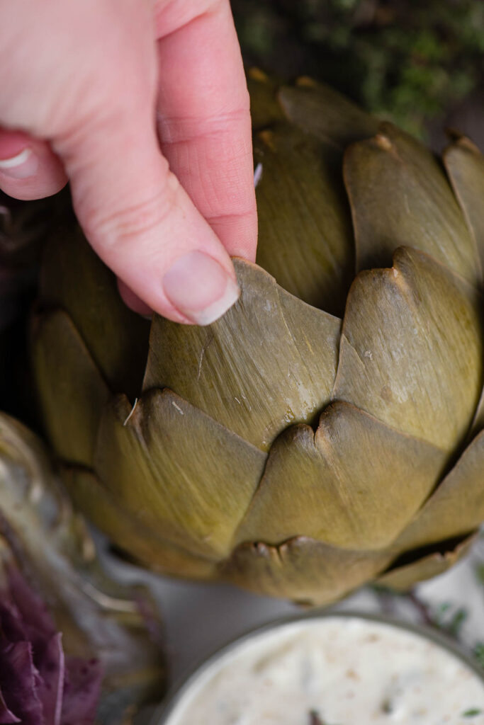 pulling a leaf off an artichoke