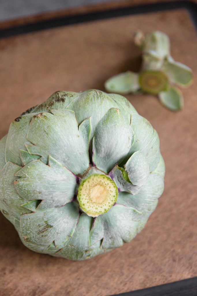 artichoke with stem cut