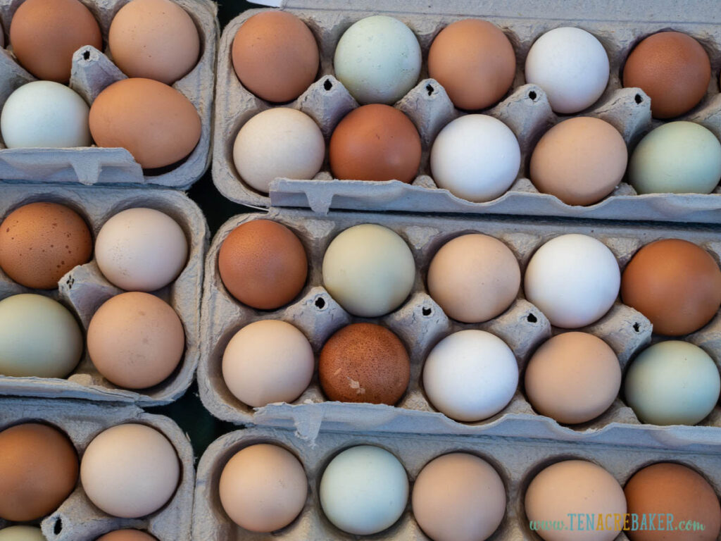 Over head view of dozen of white and brown and blue eggs sitting in a carton